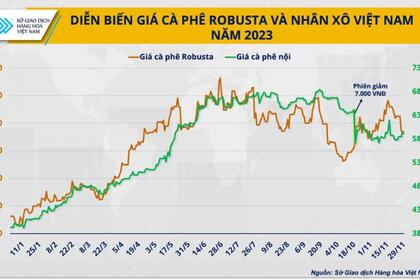 Điều gì sẽ giúp doanh nghiệp cà phê Việt làm chủ giá trong năm 2024?