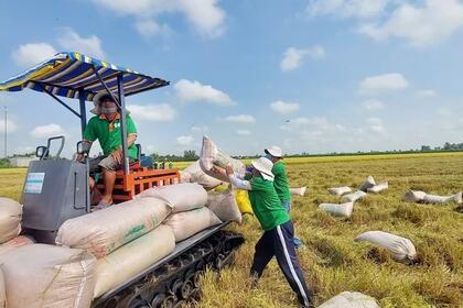 Dự báo, giá gạo xuất khẩu tiếp tục giữ đà tăng