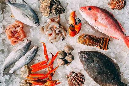 Xuất khẩu thủy sản tháng 1/2026 tăng gần 13% so với cùng kỳ