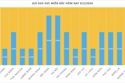 Giá heo hơi hôm nay 9/2/2026: Tiếp tục giảm nhiều nơi