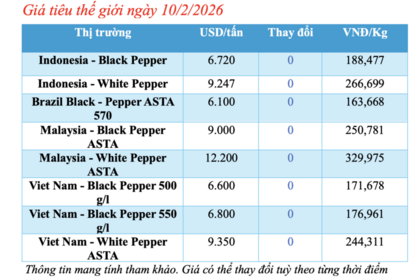 Giá tiêu hôm nay 10/2/2026: Tạm chững