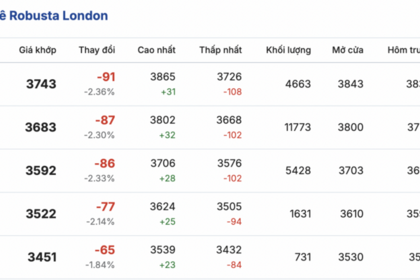 Giá cà phê hôm nay 11/2/2026: Tiếp tục tăng nhẹ