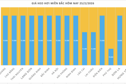 Giá heo hơi hôm nay 25/2/2026: Tiếp đà đi xuống