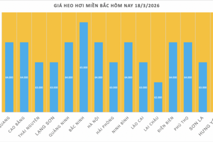 Giá heo hơi hôm nay 18/3/2026: Tăng diện rộng trên cả 3 miền