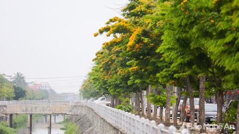 Phố Vinh và mục tiêu xanh