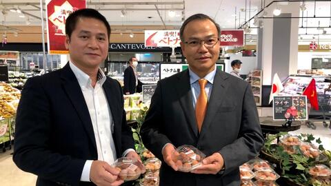 Đa dạng phương thức xúc tiến tiêu thụ vải thiều sang Nhật Bản
