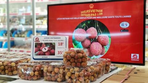 Lô vải thiều thứ hai sẽ được nhập khẩu vào Pháp ngay trong tuần này