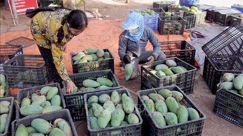 Sơn La xây dựng kế hoạch kết nối, xúc tiến tiêu thụ nông sản