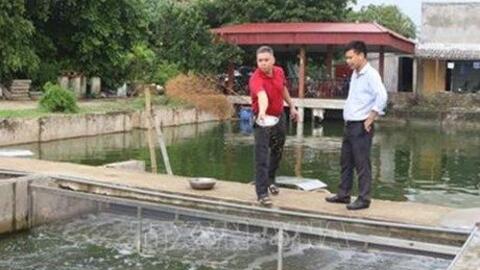 Hà Nam nhân rộng mô hình nuôi cá ứng dụng công nghệ “sông trong ao”