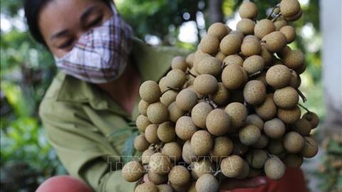 Nhãn Bình Ca giúp xã Thái Bình đi đầu trong xây dựng nông thôn mới