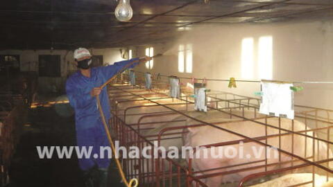 An toàn sinh học: Phải coi trang trại như một lâu đài…