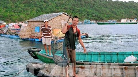 Kiên Giang phát triển nghề nuôi biển theo hướng an toàn