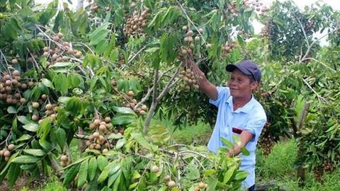 Ông Trịnh Văn Toàn làm giàu nhờ mô hình trang trại tổng hợp