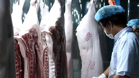 Đồng Nai: Giữ cơ sở giết mổ an toàn, tránh đứt gãy chuỗi cung ứng thịt