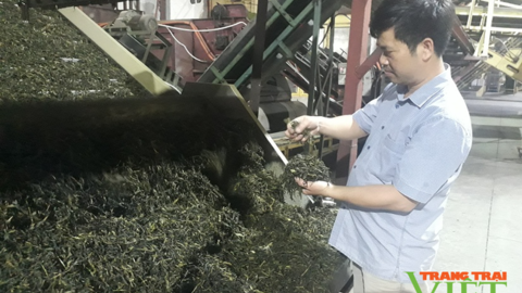 Lai Châu: Hơn 4.600 việc làm cho người lao động ảnh hưởng bởi dịch Covid-19