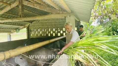 Hà Giang: Cựu chiến binh làm giàu từ chăn nuôi tổng hợp