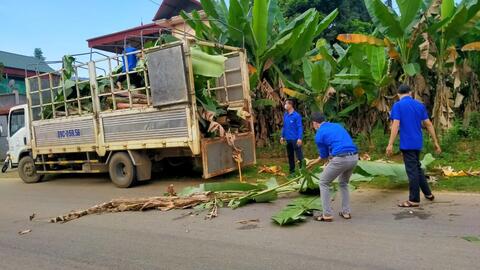 Phù Yên: Vừa giãn cách xã hội, vừa đảm bảo sản xuất nông nghiệp