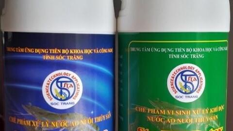 Hoàn thiện quy trình sản xuất chế phẩm sinh học xử lý môi trường nước ao nuôi thủy sản