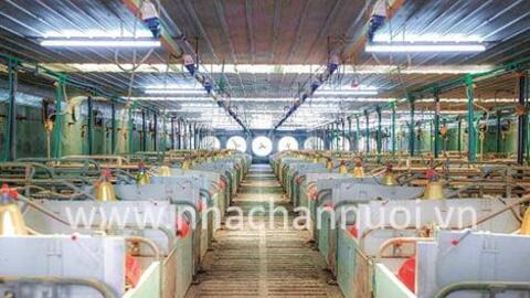 Nghệ An: Toàn tỉnh có 941 trang trại chăn nuôi