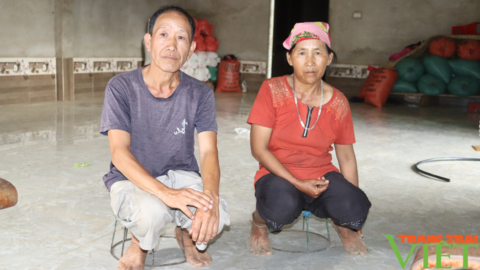 Nông dân Tây Bắc: Từ bỏ ma tuý, lão nông người Mông viết lại cuộc đời