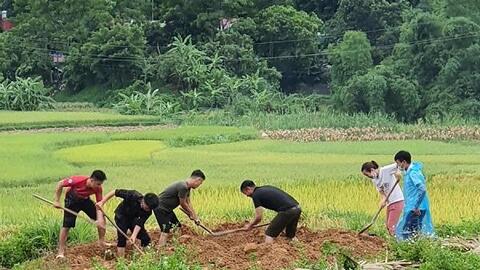 Hà Giang: Dịch tả lợn châu Phi diễn biến phức tạp tại 10 tình, thành phố
