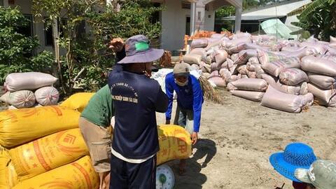 ĐBSCL: Nông dân bán lúa nhanh, giá gạo xuất khẩu tăng