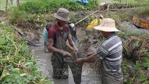 Trà Vinh hỗ trợ nông dân chuyển đổi cơ cấu sản xuất