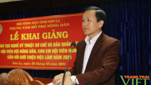 Trung tâm Hỗ trợ Nông dân tỉnh Sơn La: Tập huấn kỹ thuật sơ chế, bảo quản nông sản