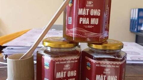 Hướng đi mới cho hiệu quả kinh tế cao của nông dân Than Uyên
