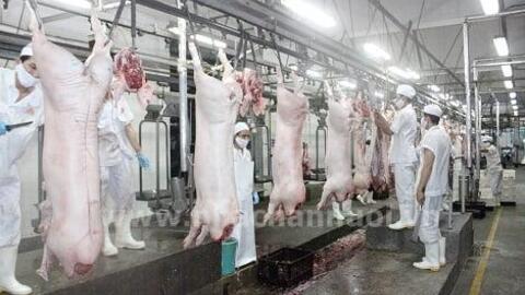 Thị trường sản phẩm chăn nuôi cuối năm: “Ẩn số” khó đoán