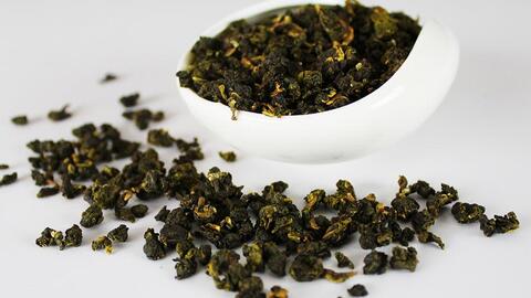 Quá trình lên men phụ F2 trà Kombucha Oolong nhãn