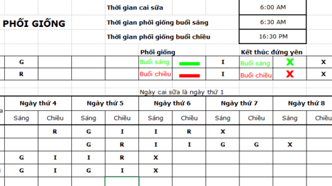 Phối giống và hệ thống theo dõi chấm, gạch và gạch chéo