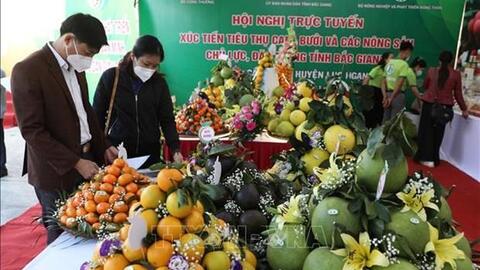 Xúc tiến tiêu thụ nông sản chủ lực đặc trưng của Bắc Giang