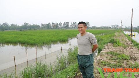 Hà Nam: Thấy ruộng bỏ hoang, anh nông dân "liều" thuê lại, nuôi cá kết hợp trồng lúa thu trăm triệu
