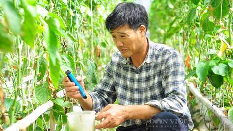 Miền Tây: Nông dân tiết kiệm 50% chi phí thuốc bảo vệ thực vật nhờ "siêu" máy bay không người lái