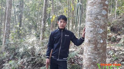 Chi trả dịch vụ môi trường rừng ở Lai Châu: Tạo đà xây dựng nông thôn mới