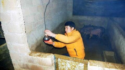 Phòng, chống rét cho đàn vật nuôi ở huyện Vân Hồ