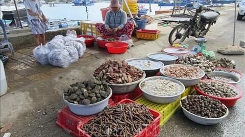 Ninh Thuận nâng cao hiệu quả kinh tế từ nghề nuôi biển