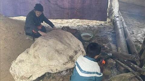 Sơn La khuyến cáo người dân tăng cường chăm sóc đàn gia súc khi giá rét