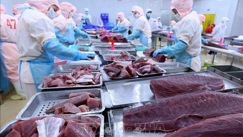 Ngành thủy sản đối mặt với muôn vàn gian khó trước căng thẳng Nga - Ukraine