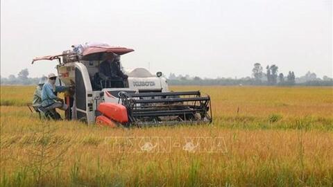 Kinh tế tập thể góp phần làm thay đổi cơ cấu sản xuất nông nghiệp Kiên Giang