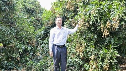Tăng vùng cây ăn trái phục vụ xuất khẩu tại Sóc Trăng