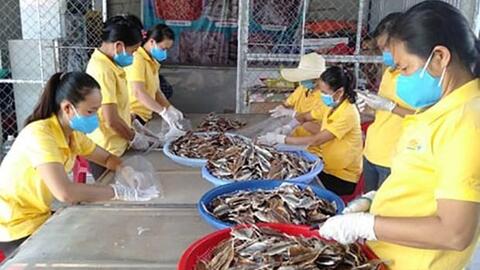 Quảng Bình quảng bá sản phẩm OCOP qua kênh thương mại điện tử