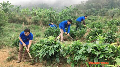 Nông thôn Tây Bắc: Những dấu chân tình nguyện của tuổi trẻ Sìn Hồ