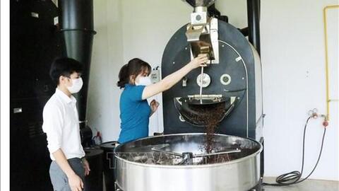 Chi phí sản xuất tăng, nông dân Đắk Lắk thay đổi phương thức canh tác