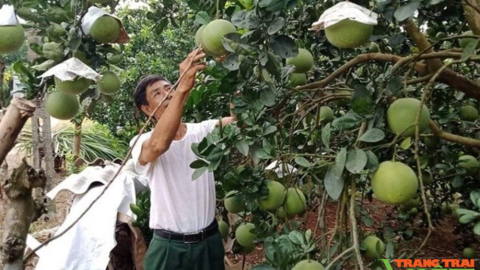 Hội Nông dân tỉnh Hoà Bình: Tạo chỗ dựa vững chắc cho hội viên làm giàu