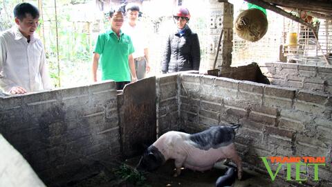 Lai Châu: Thi đua sản xuất kinh doanh giỏi ở Mường Cang