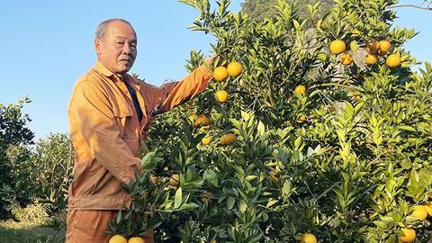 Hòa Bình đẩy mạnh ứng dụng công nghệ sinh học