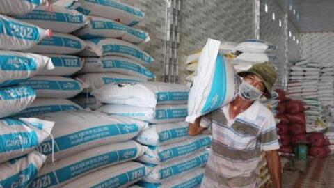 Giá thức ăn chăn nuôi tăng "sốc", nuôi có 170 con gà cũng lo ngay ngáy?