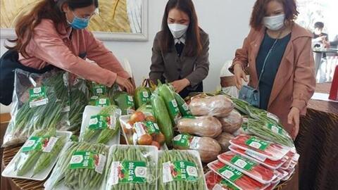 Trao văn bằng bảo hộ sản phẩm nông nghiệp chủ lực, đặc sản tiêu biểu của Gia Lai